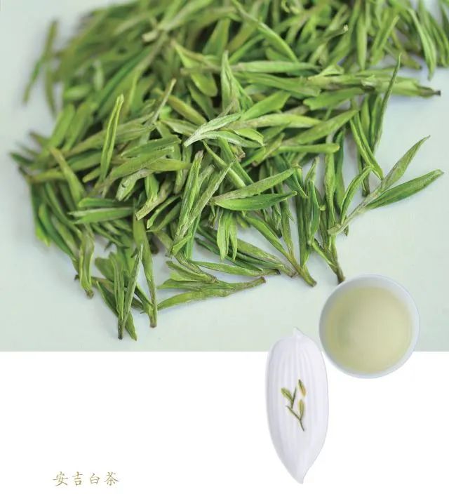 炎炎夏日喝点什么茶好,夏日暑湿喝什么茶最好养生