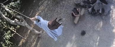 冷门cult片,盘点十大cult片