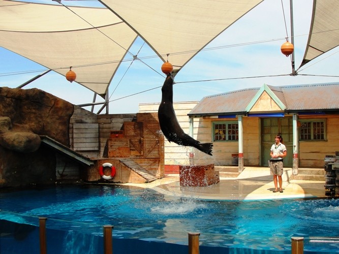 澳洲悉尼动物园,悉尼塔隆加动物园介绍