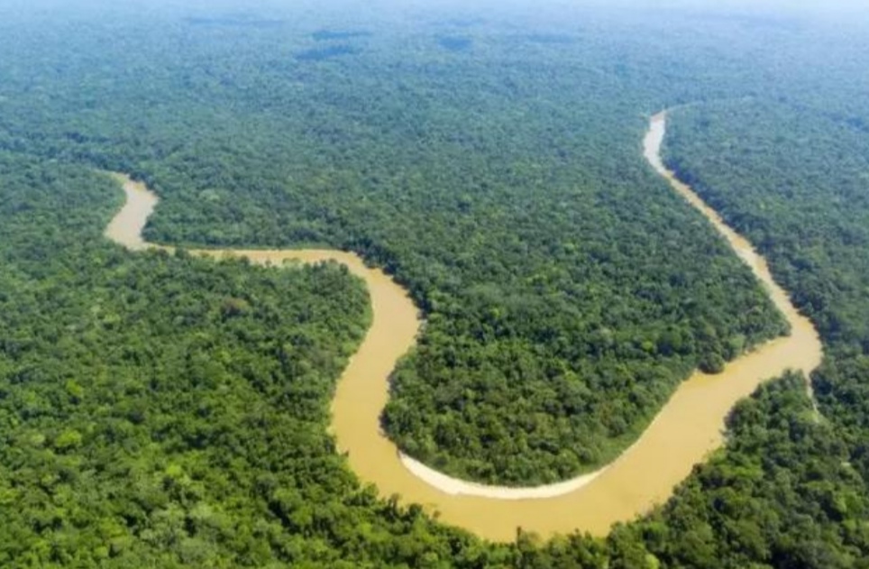 亚马逊丛林有哪些特点,亚马逊雨林有多恐怖颠覆你的三观