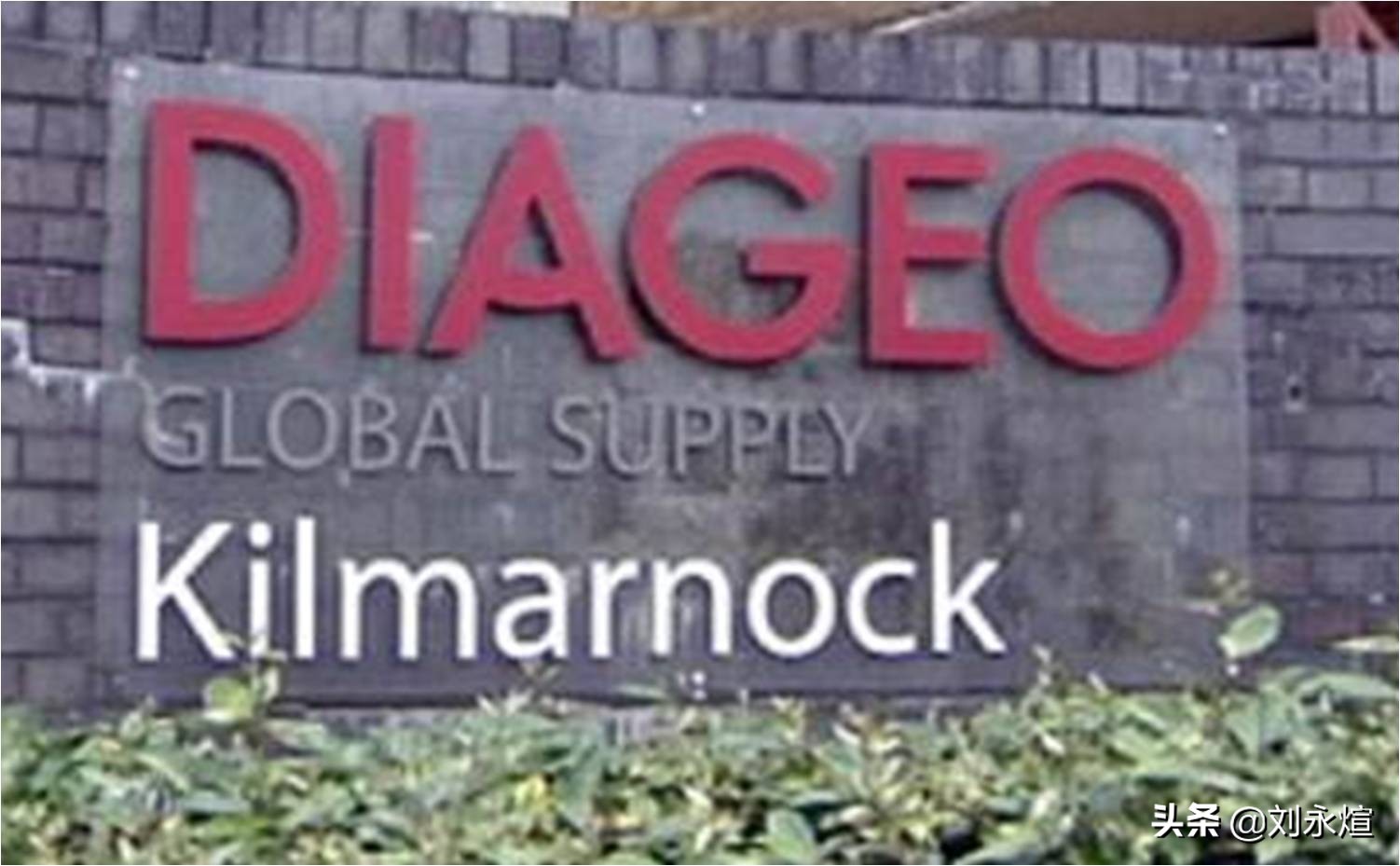 鏂板啝鐥呮瘨涓庣缃楀,鏂板啝鐥呮瘨鍜岀缃楀