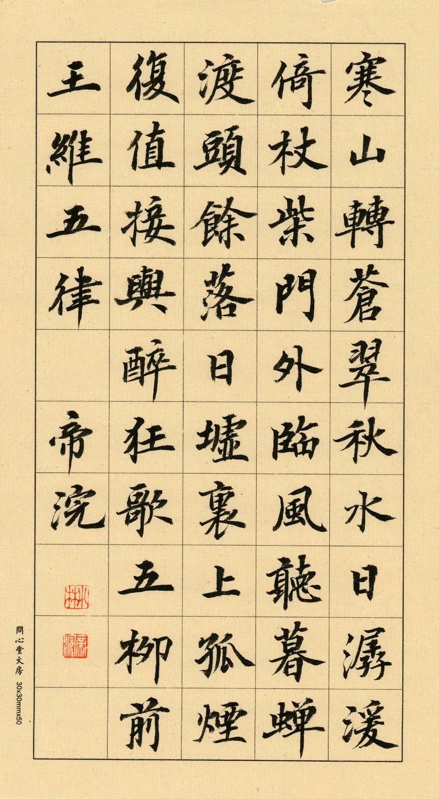 放学回家作文,走在放学回家的路上作文