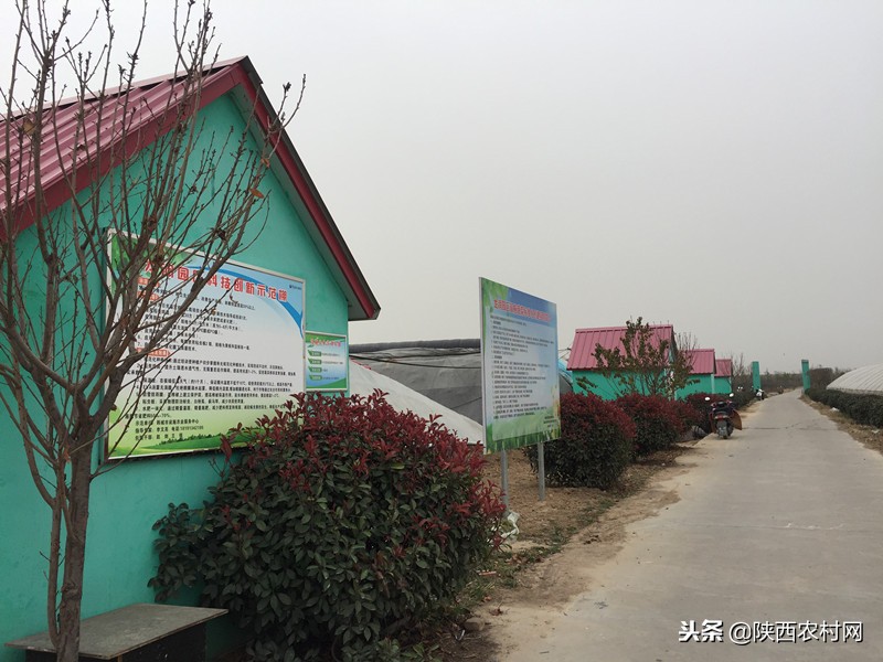 农药残留源头管控,合理使用农药倡导绿色防控