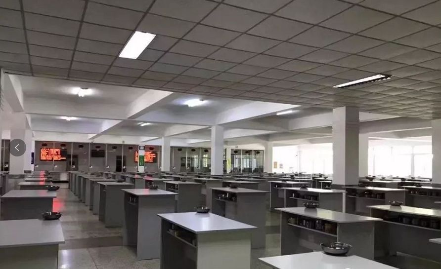 沈阳东北育才外国语,沈阳育才双语和育才外国语