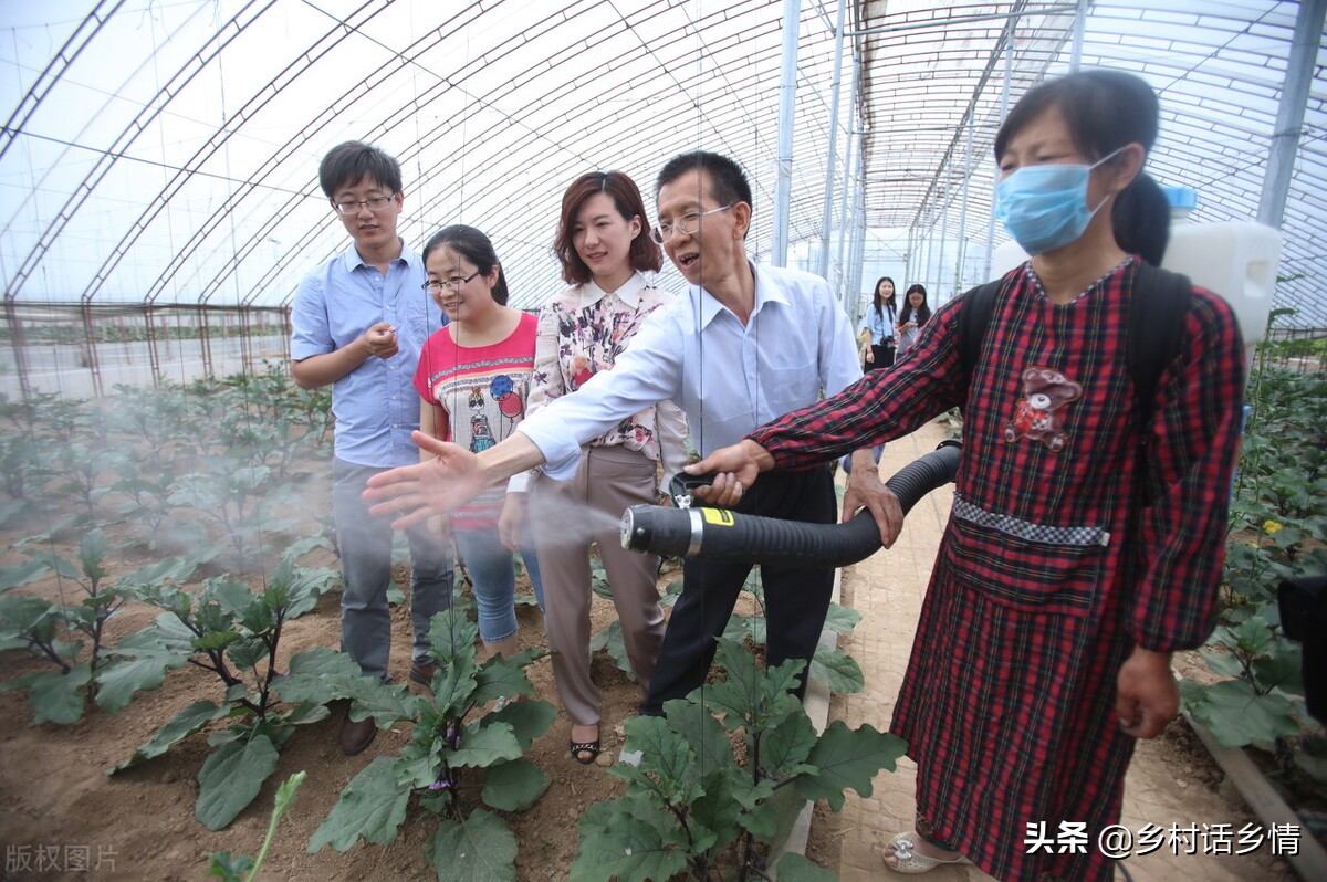 蔬菜长虫最有效小妙招,怎么治蔬菜虫子最快最有效