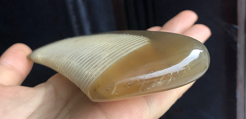 如何鉴别白水牛角梳子真假图解,白水牛牛角梳真假辨别