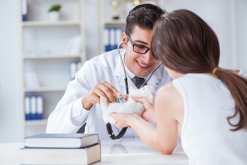 狗狗卵巢囊肿的治疗方法,狗狗得了卵巢囊肿怎么办