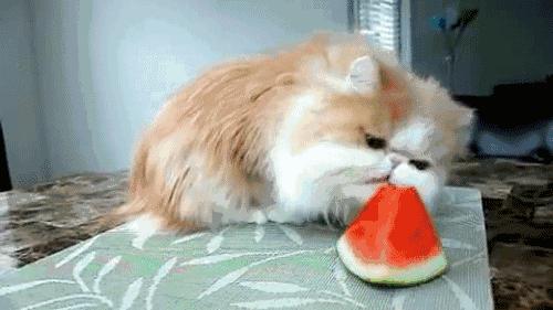 最快减肥方法一星期瘦10斤亲测,健康减肥30斤分享最有效减肥方法