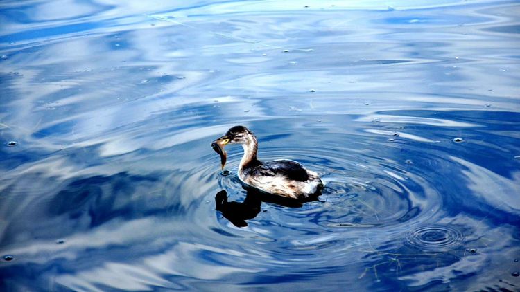 深秋的私语,美文美图经典欣赏