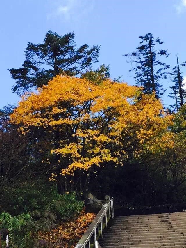 峨眉山登顶佛像,峨眉山登顶记完整版
