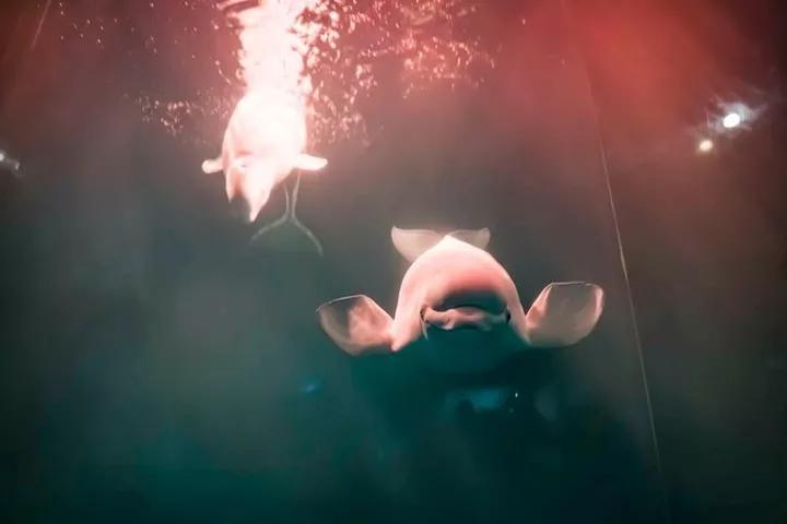 大连旅游攻略精致景点推荐,大连必去的打卡景点