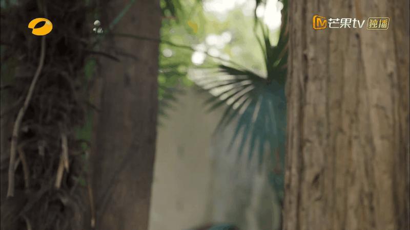 湖南卫视收视王炸豆瓣多少,湖南卫视最新的收视率