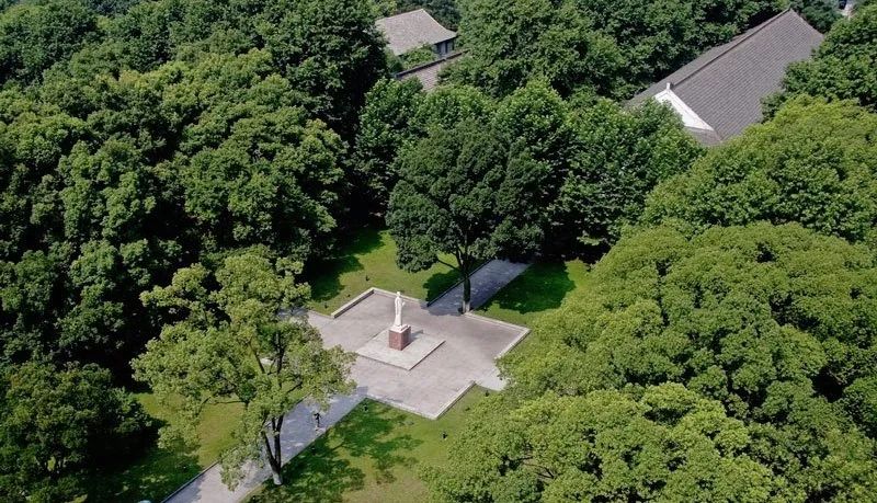 华中师范大学专科考研上岸经验,华中师范大学化学考研经验帖