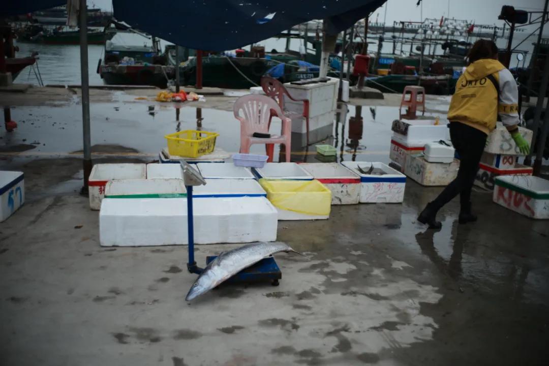 在海南岛最霸气的渔港码头,海南十大渔港码头