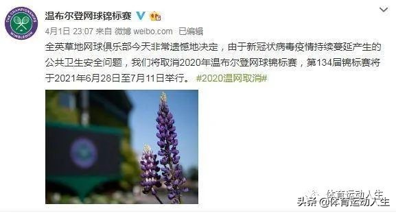 温网比赛网球,大满贯决赛6:0