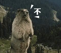 如何拥有好的皮肤教你这几招,怎样才能拥有白白净净的皮肤