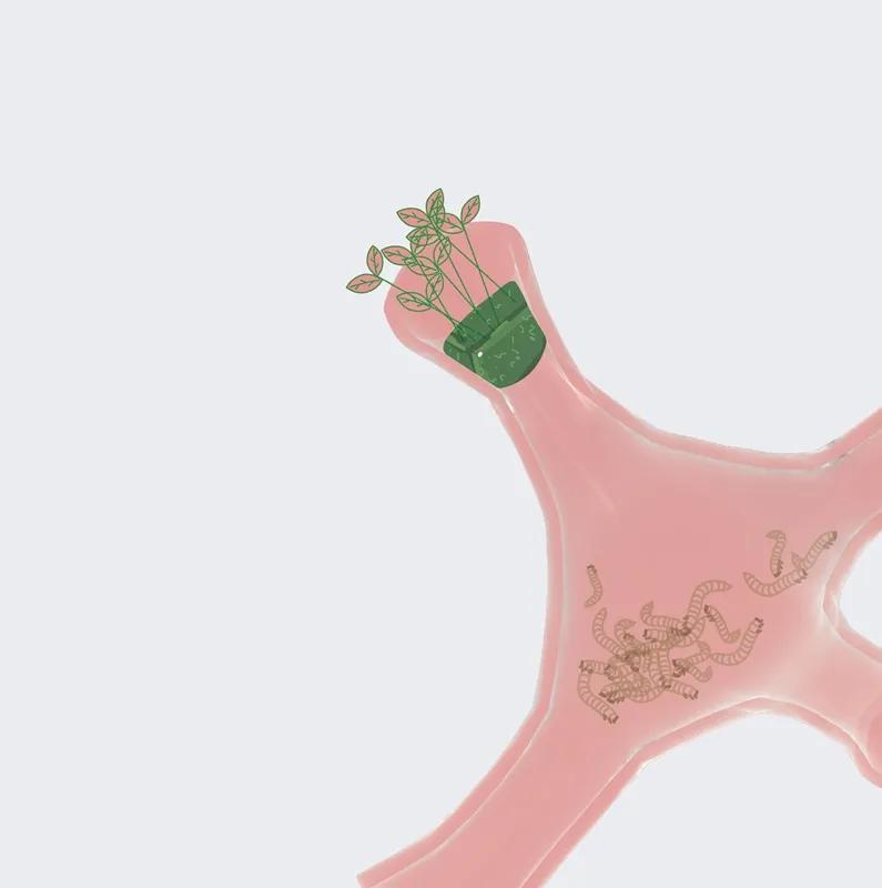 食物设计案例,健康饮食的设计意图