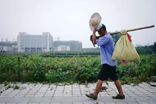 父母过度节俭行为反而害了孩子,父母节俭对孩子的危害