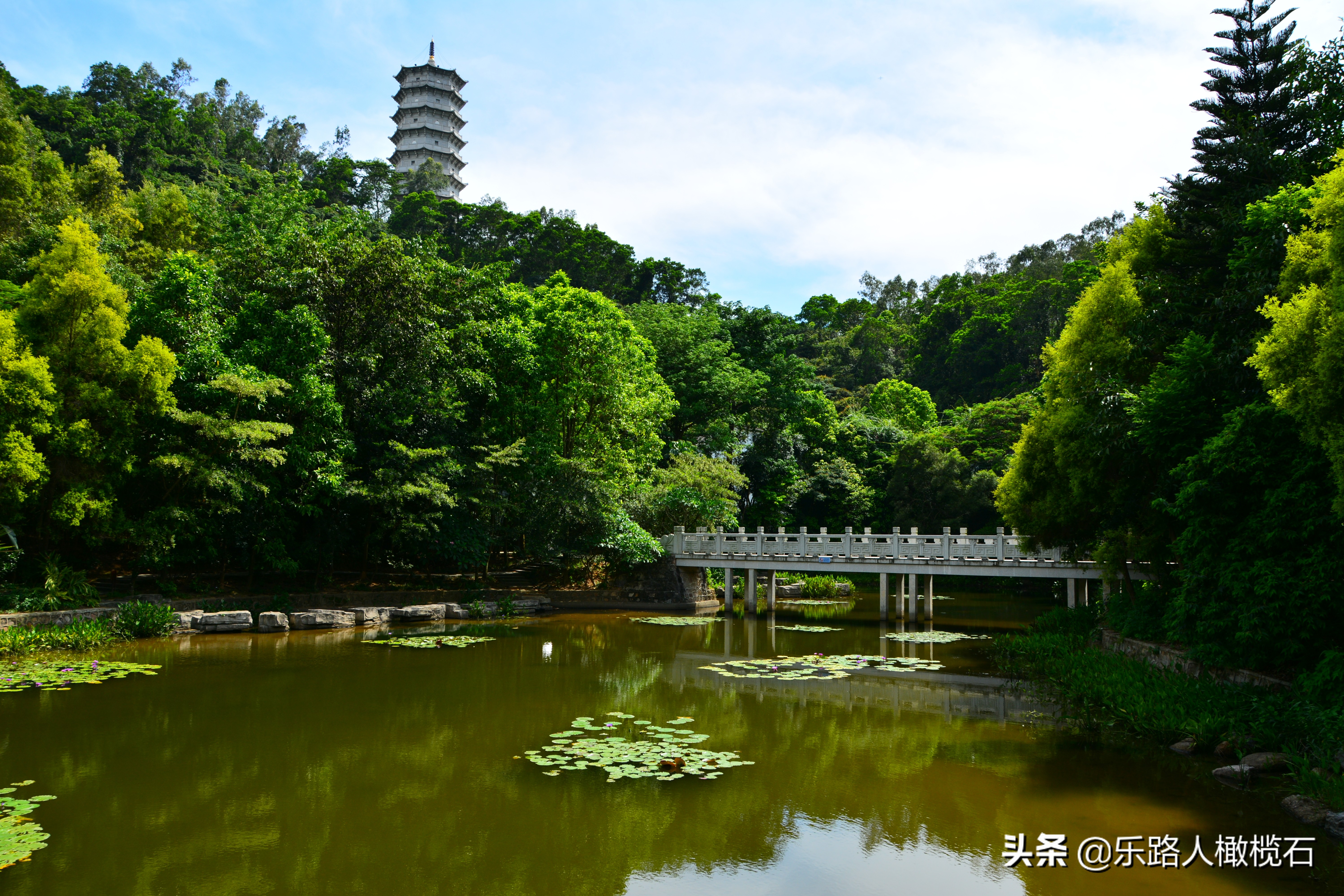 深圳园博园有什么好玩的,深圳园博园旅游指南