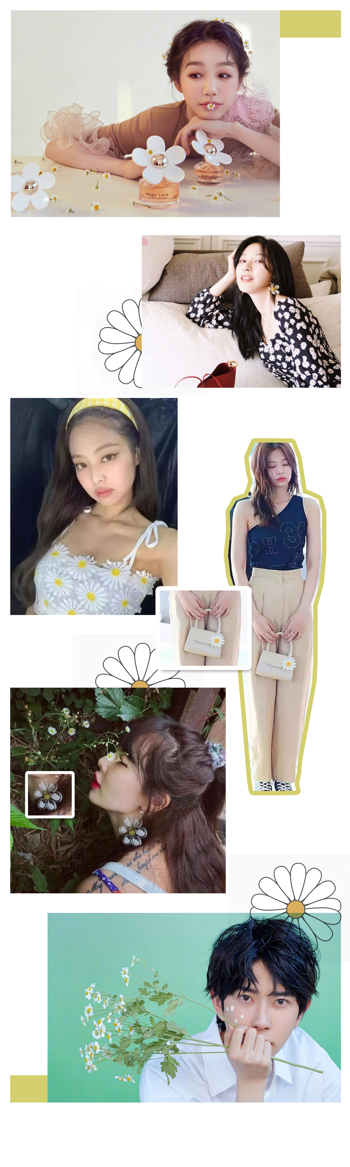 小雏菊带香味,小雏菊花果香