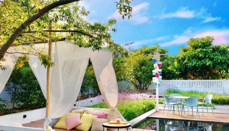 深圳海边网红打卡民宿,海边民宿网红打卡地