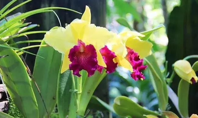 恋恋冲绳丨有一种海水的蓝，叫做“果冻蓝”