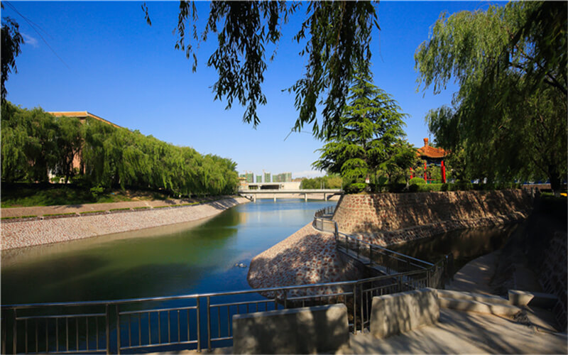 河南民办高校（本科）大起底：野花儿香，能采不？