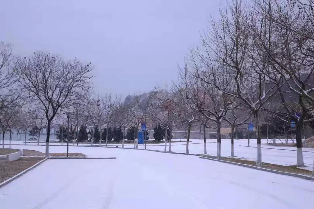 辽宁省高校（三十一）大连医科大学