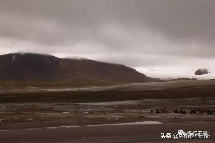 自驾青藏线进藏有多困难？有兴趣的就跟我走一趟逶迤的青藏线吧