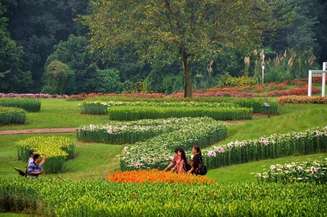 石象湖景区团购,石象湖景区门票特价