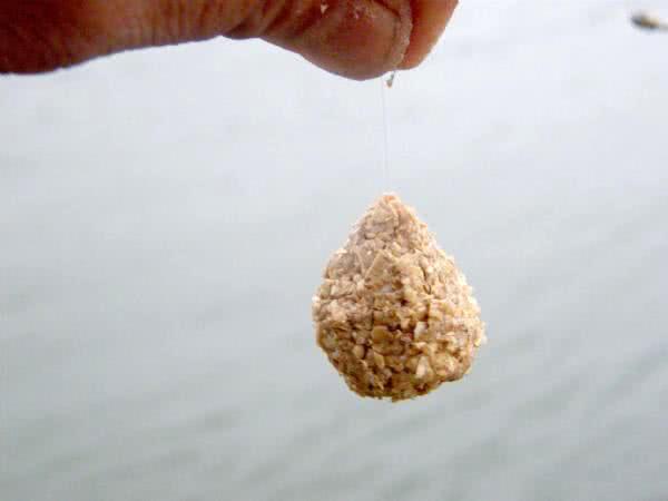 传统钓小杂鱼闹窝怎么办,应对小杂鱼闹钩方法技巧