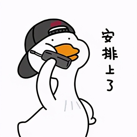 深圳建文外国语学校招生条件,深圳市建文外国语学校是否转公立