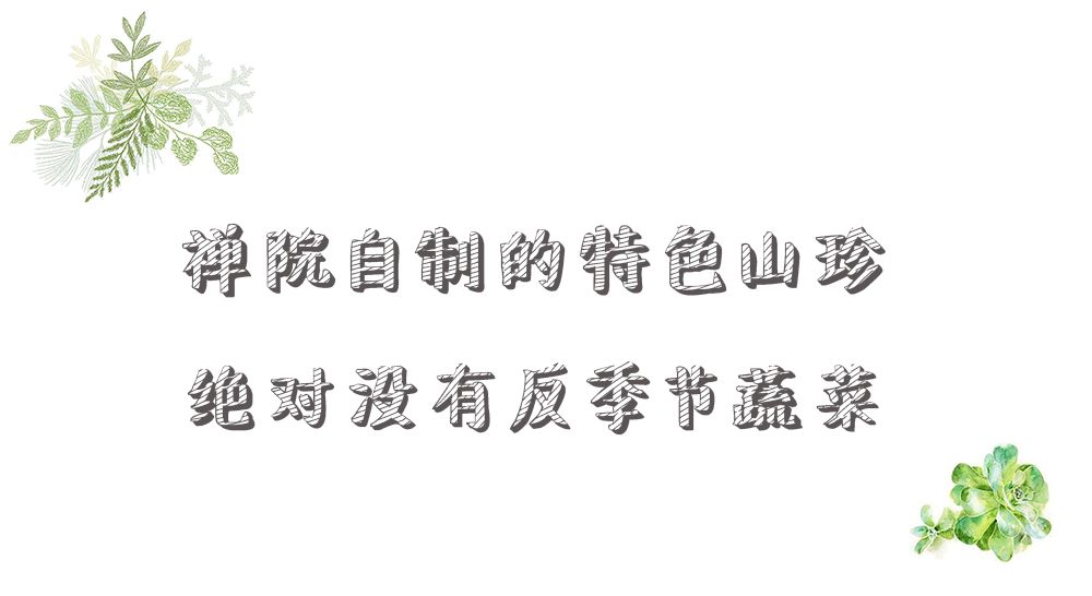 低卡路里零负担！这种火锅我敢天天吃！成都熊猫小禅院3人仅88元