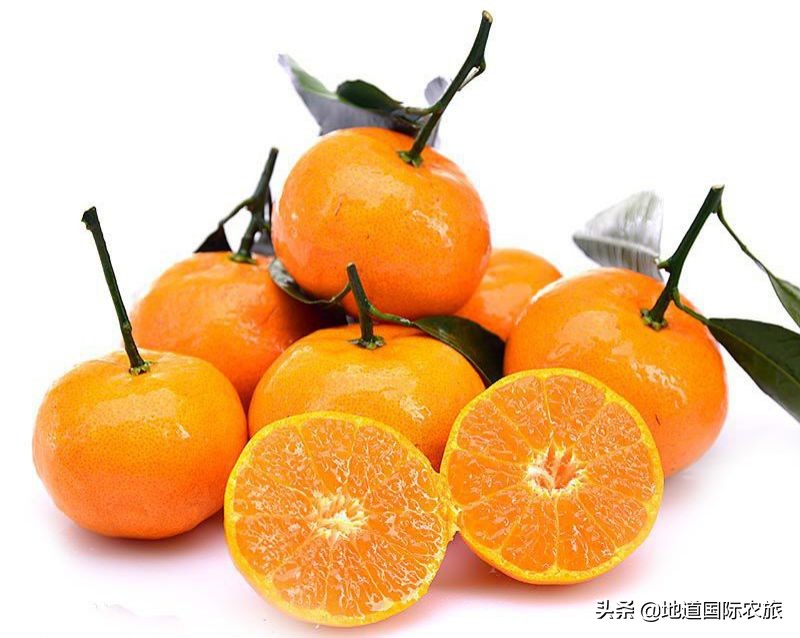 桂林阳朔康养旅游可以去哪,阳春小桂林风景区