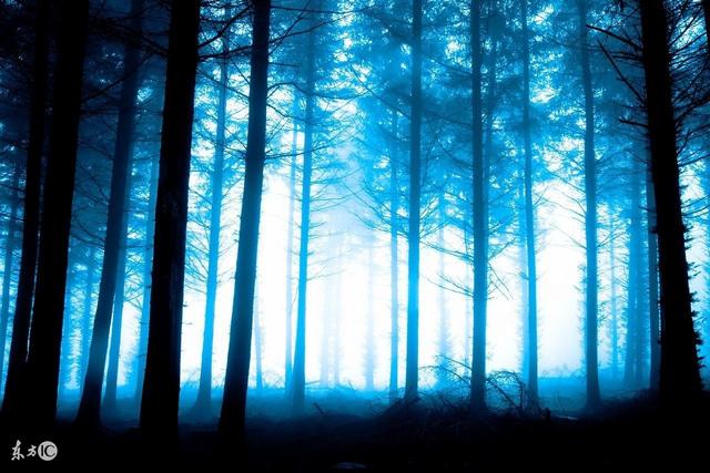 网络小说作家爆更,网络小说作者停更理由