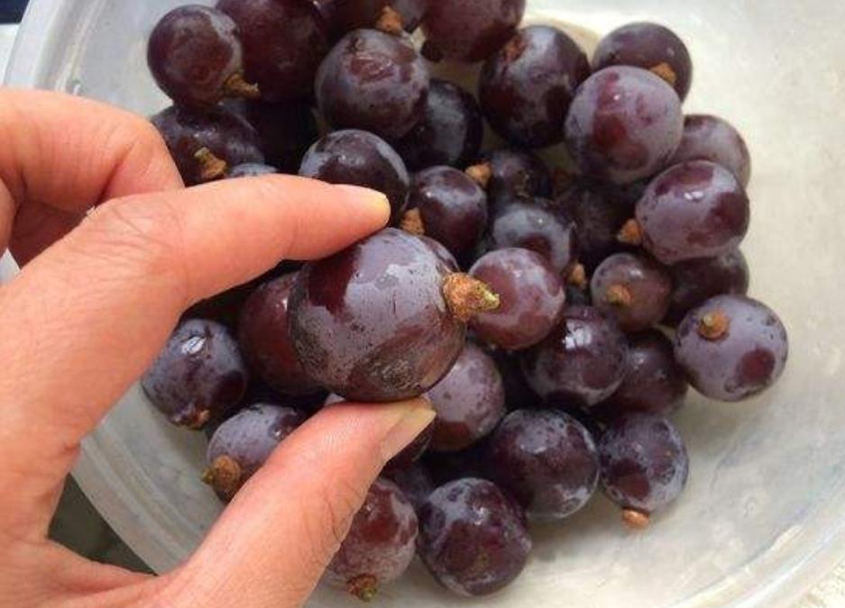 吃不完的葡萄晒干,吃不完的水果葡萄怎样密封袋装