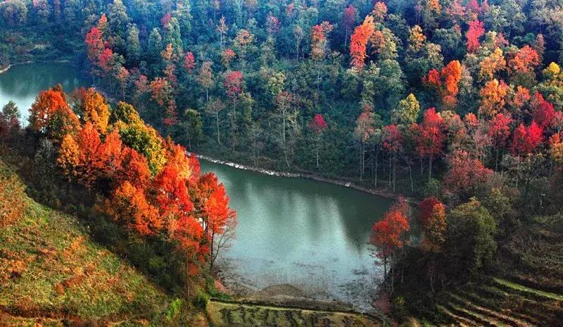 广西最想去的地方,广西最想去的8个地方