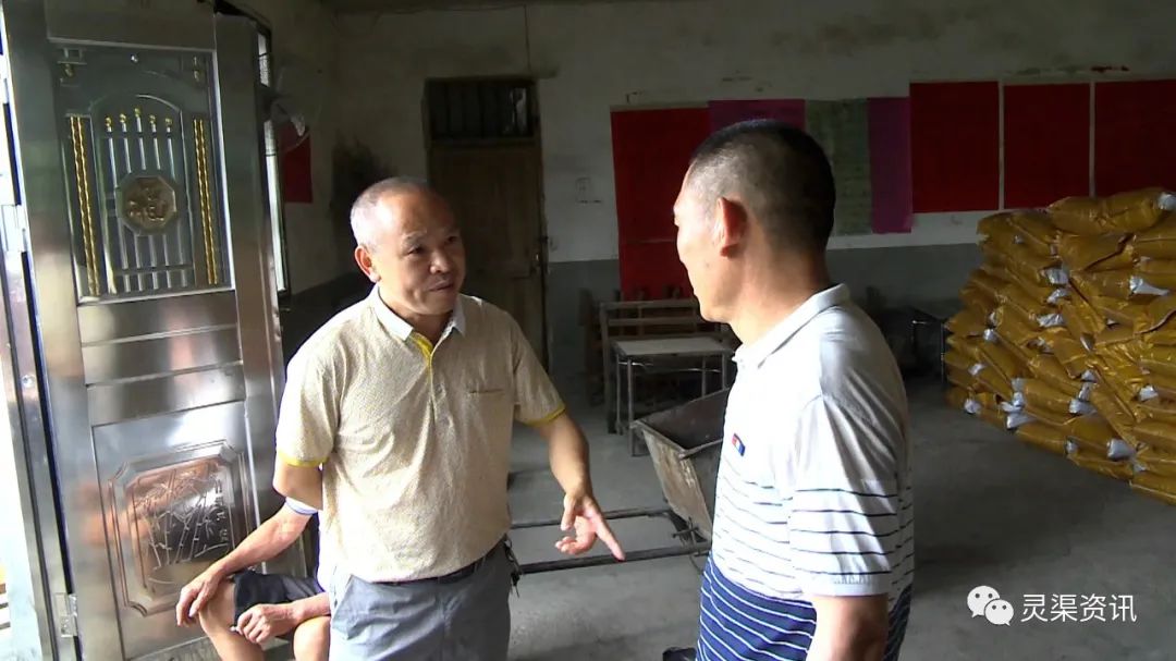 你个笨鸟,这些东西让你全部“弄死了”