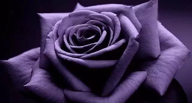 每天学习一点点女性小常识,每天学习一点点科普一下