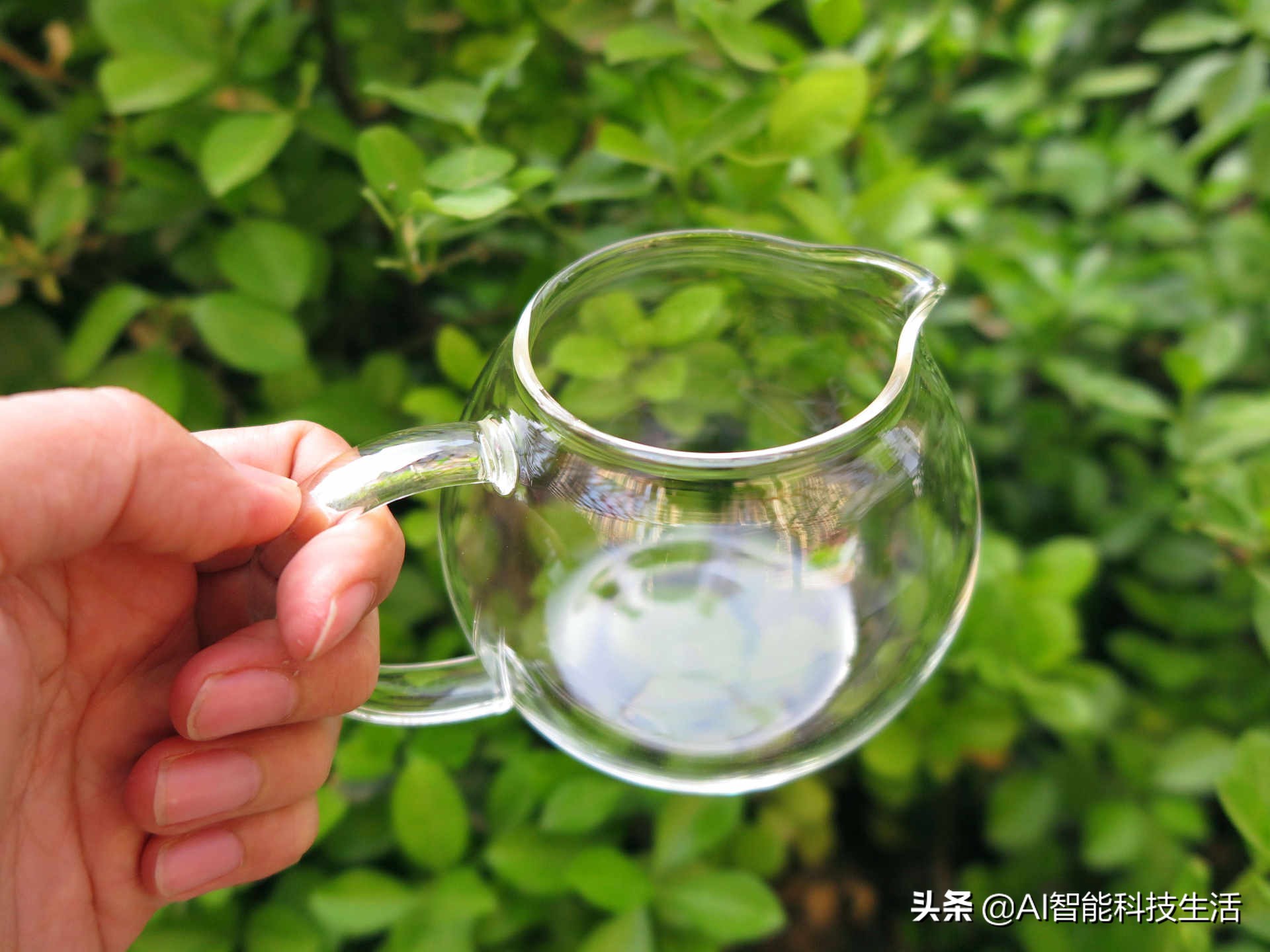 魔凡智能即热式泡茶机,泡茶机好用不贵泡茶不再烦恼