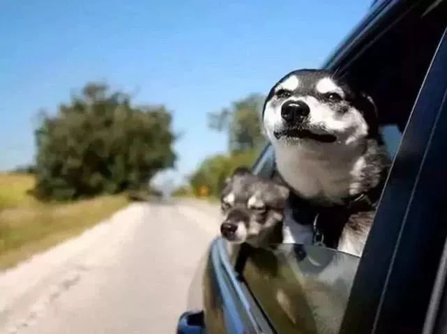 晕车恶心怎么办如何快速解除晕车,晕车是因为体质不好