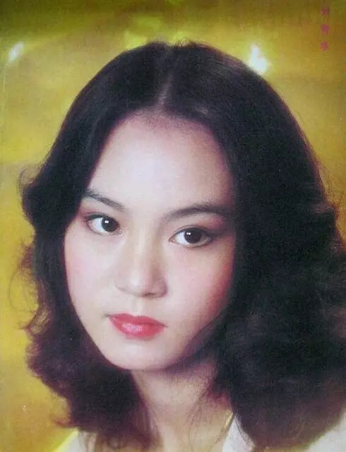 刘雪华比琼瑶大多少,刘雪华琼瑶剧有多成功