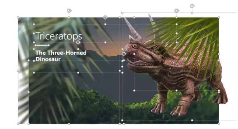 如何用ppt制作一寸照片,ppt制作一寸照片的方法