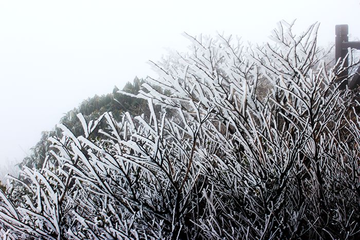 雨中的梵净山景色,烟雨梵净山