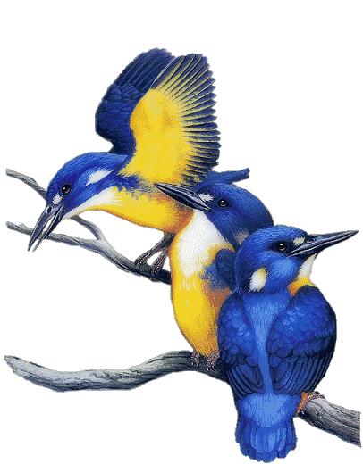 108个多音字老师讲解,多音字108个含义