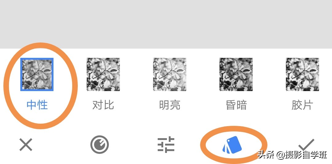 怎么拍出有质感的植物,如何拍出植物特别绿