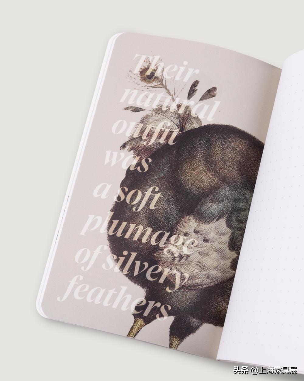 让深秋更有意义，创意美学品牌moooi描述独特的美丽