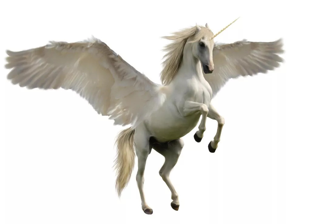 十二生肖马的大小顺序,十二生肖年龄表马