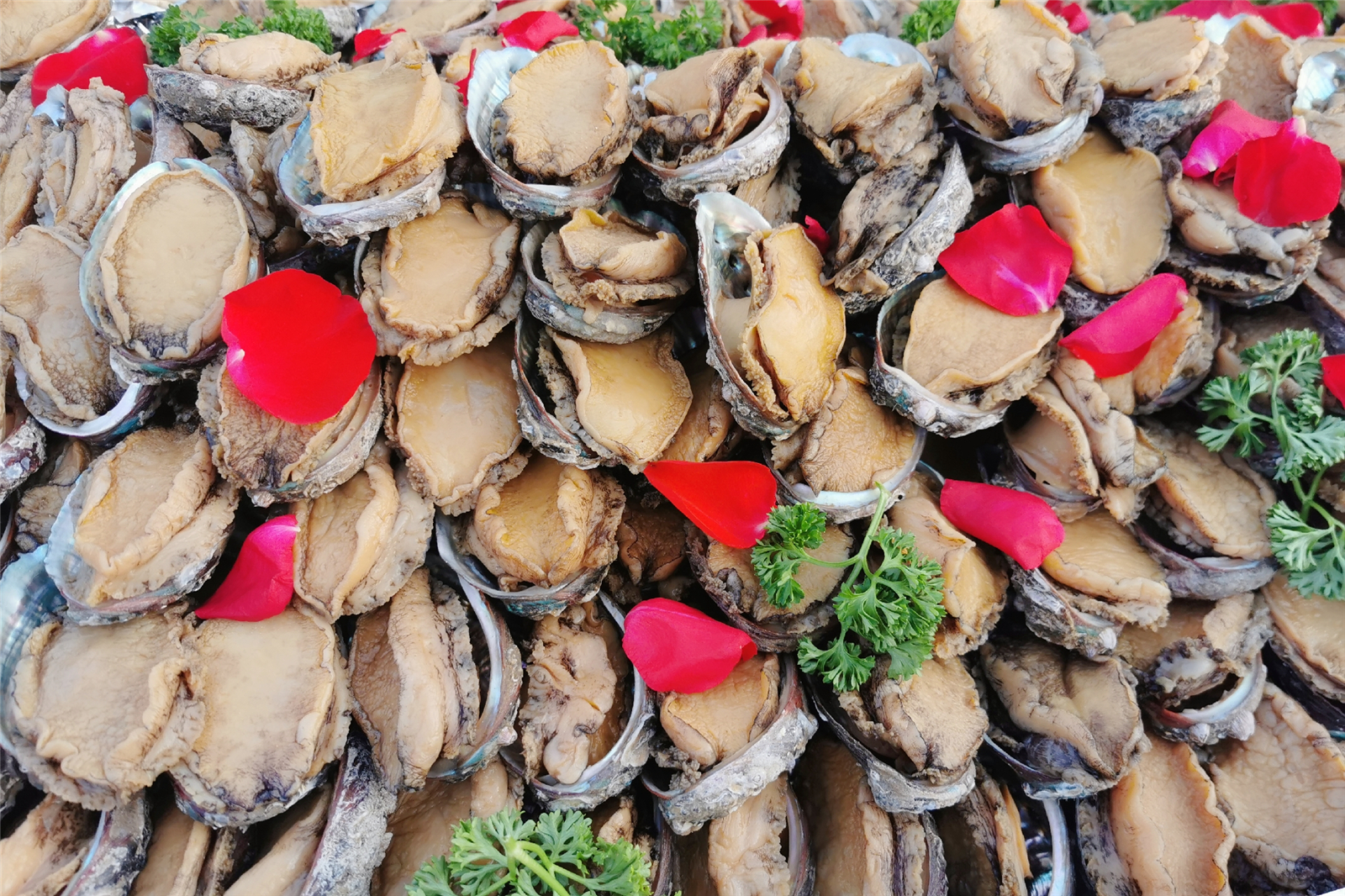 山东长岛旅游攻略四天三晚多少钱,山东长岛两天一夜旅游攻略