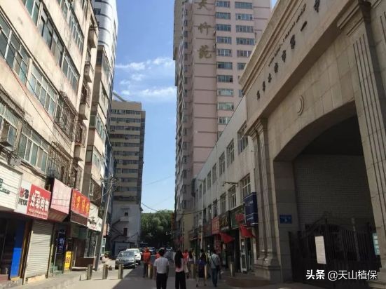 迪丽热巴古力娜扎对比视频,迪丽热巴与娜扎